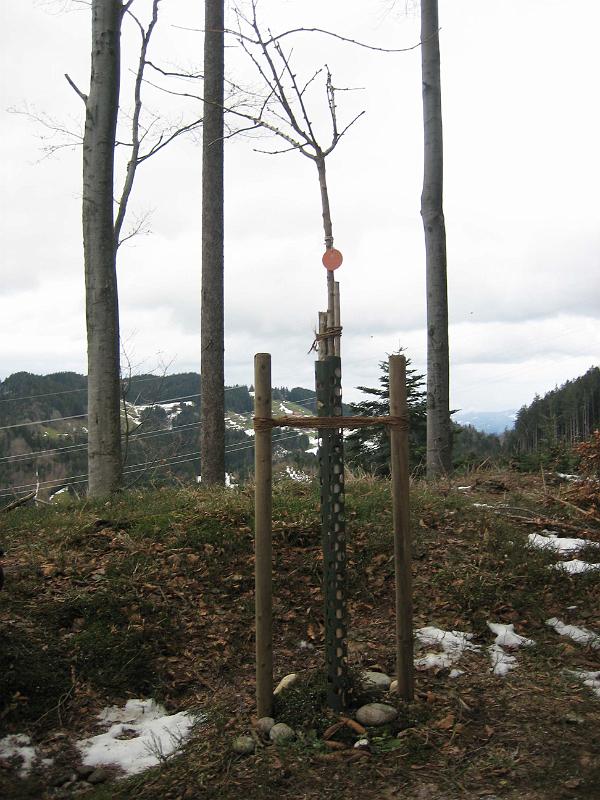 2009 12 25 B
